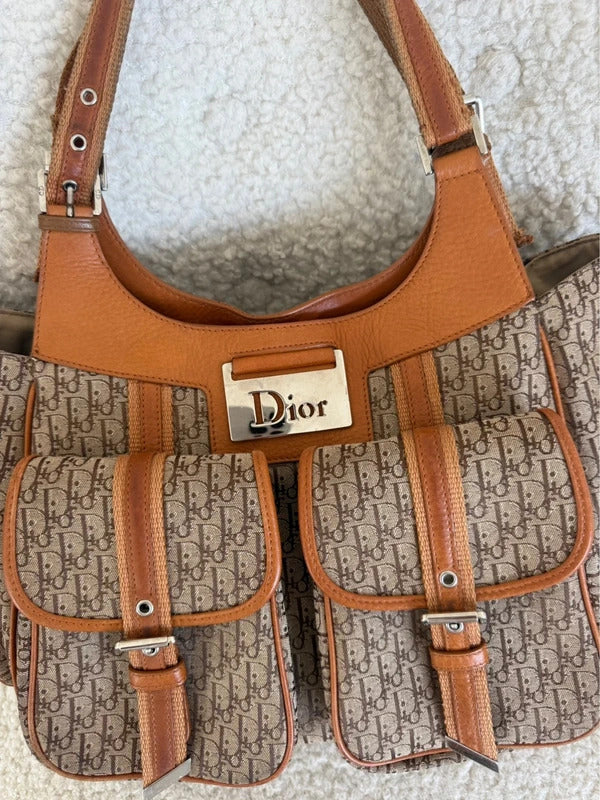 dior trotter street chic cargo shoulder bag
