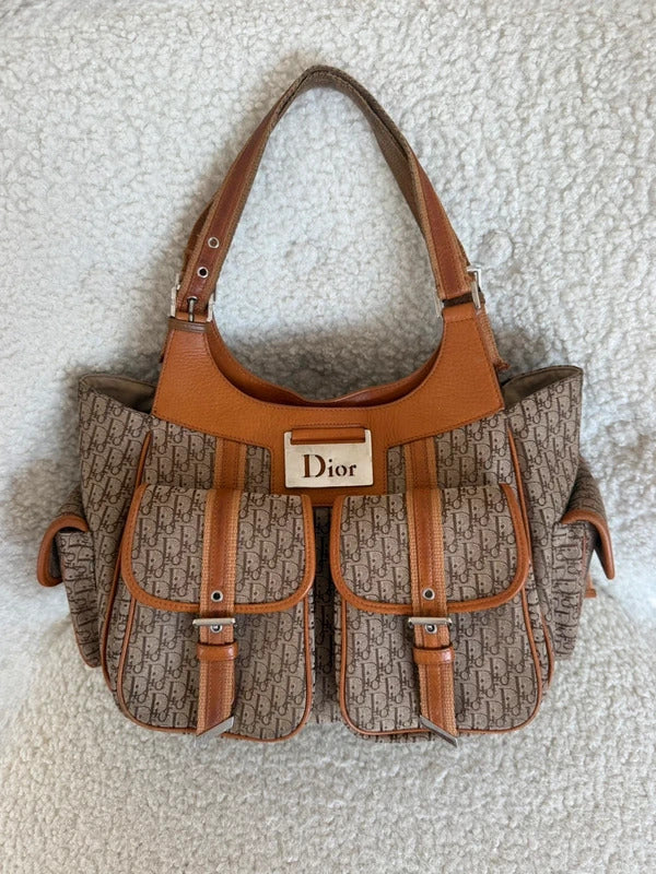 dior trotter street chic cargo shoulder bag