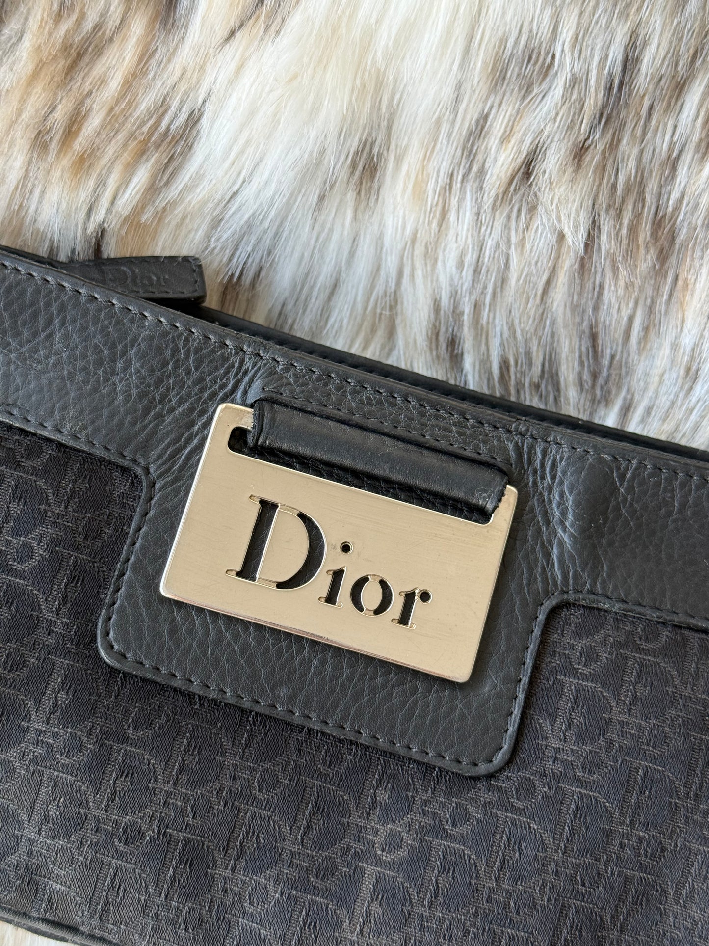 Dior Mini Columbus bag