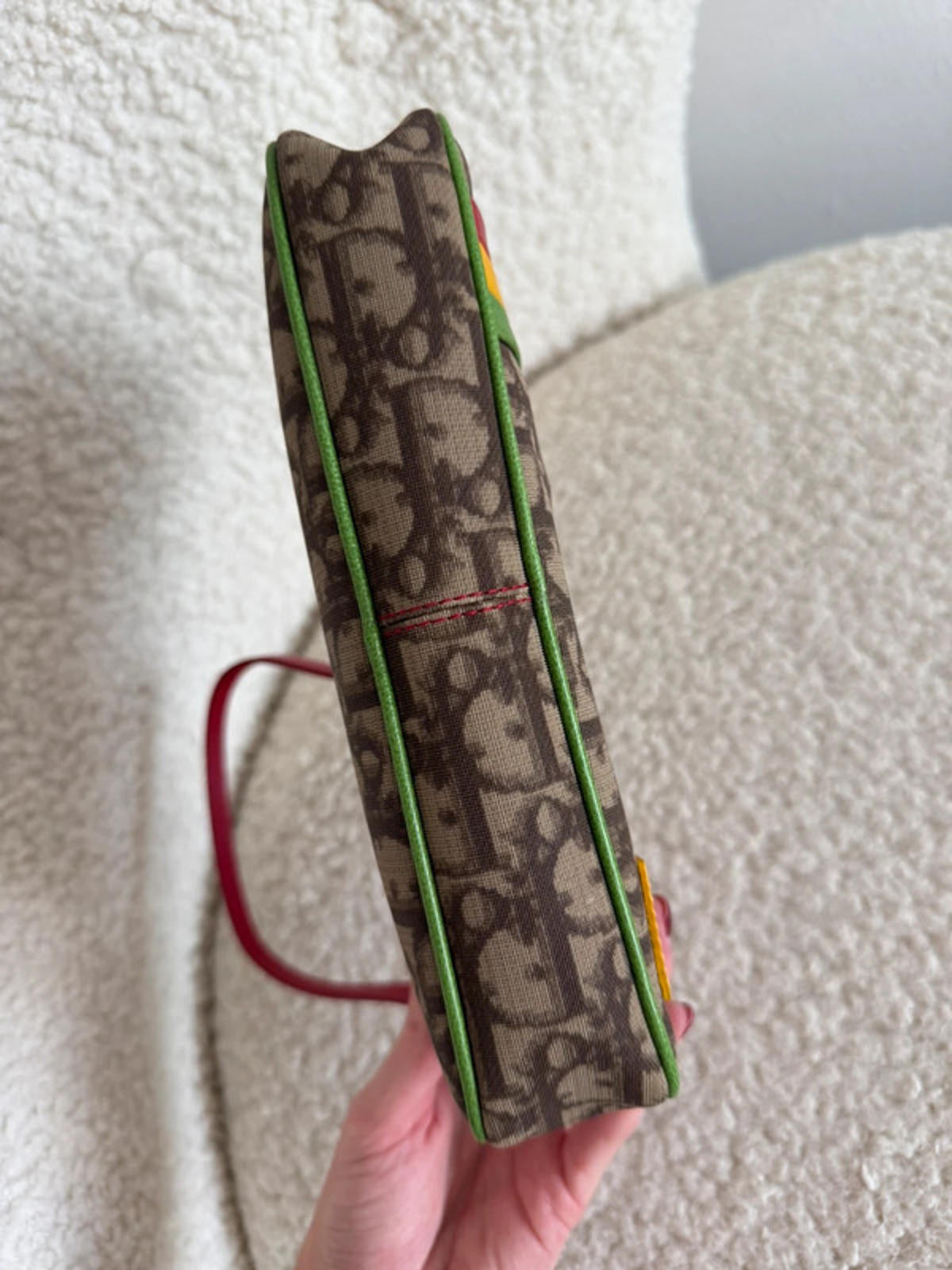 Christian Dior Rasta-Colour Trotter Monogram Mini Pochette Bag