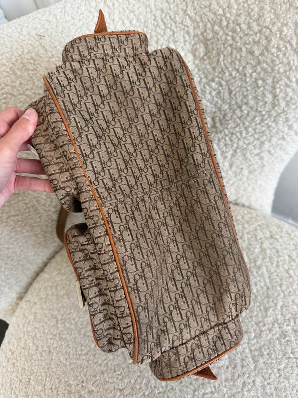 dior trotter street chic cargo shoulder bag