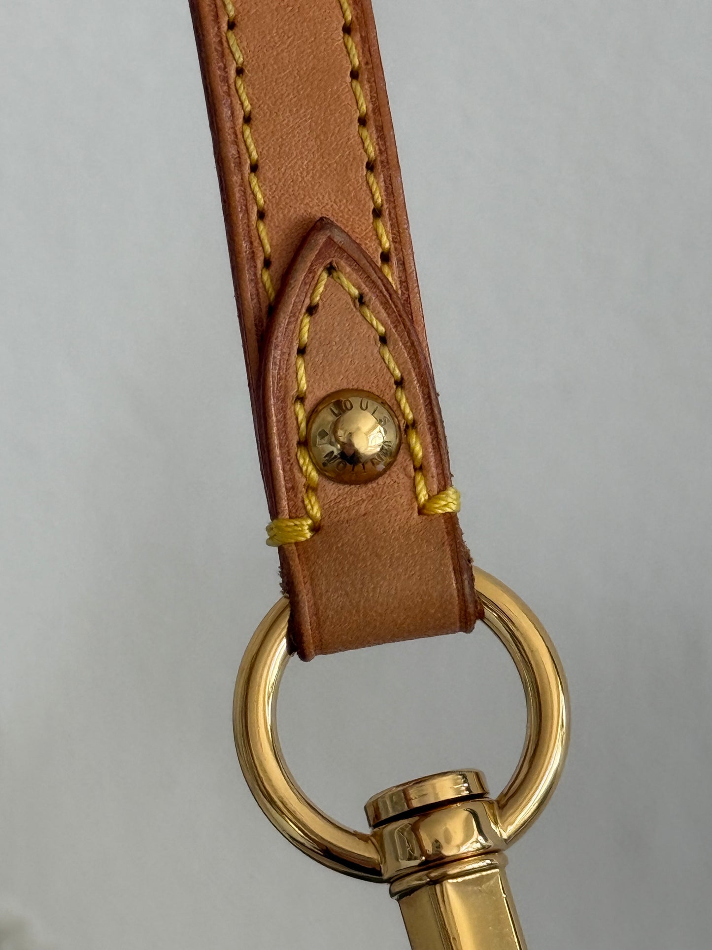 Louis Vuitton Monogram Denim Mini Pleaty Bag