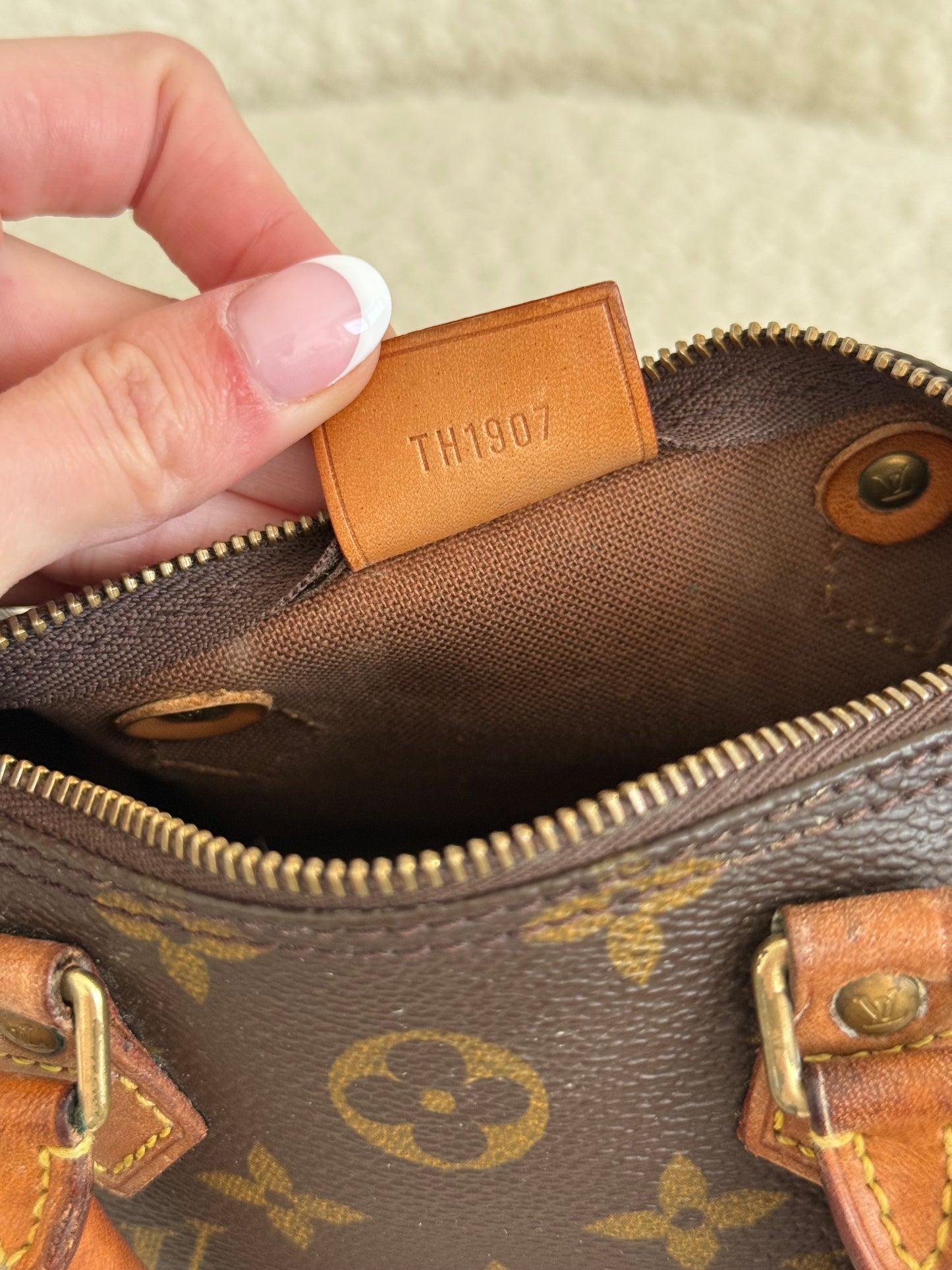 Louis Vuitton Nano Speedy
