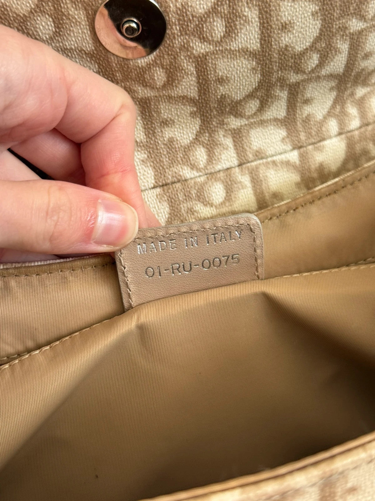 Dior Romantique Trotter Monogram handbag