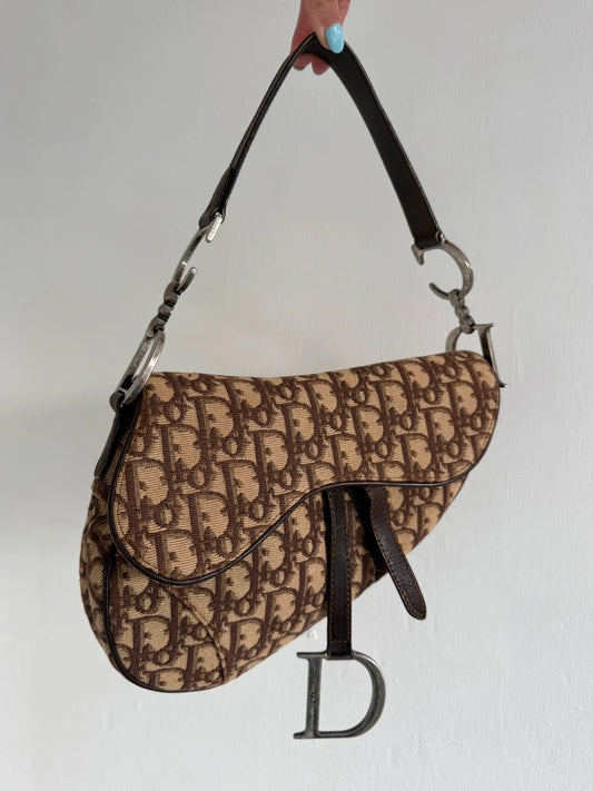 Dior saddle bag