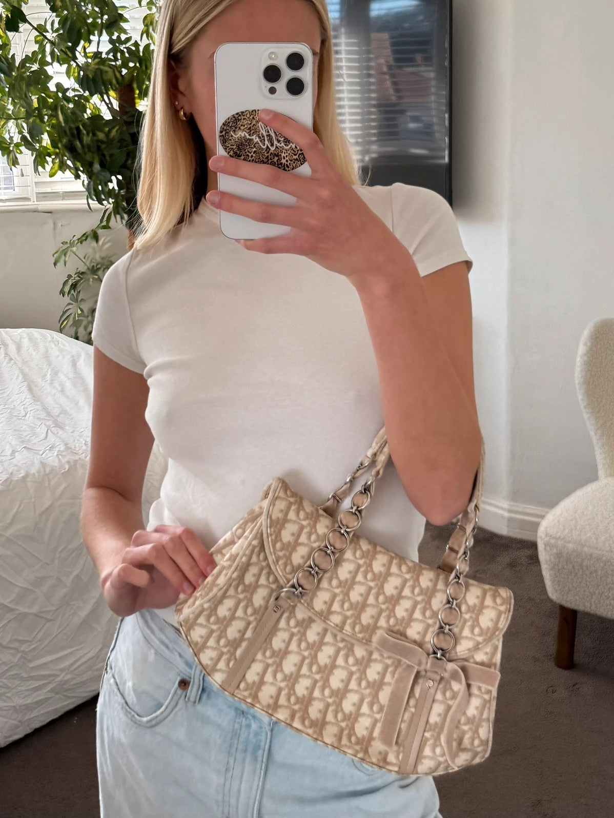 Dior Romantique Trotter Monogram handbag