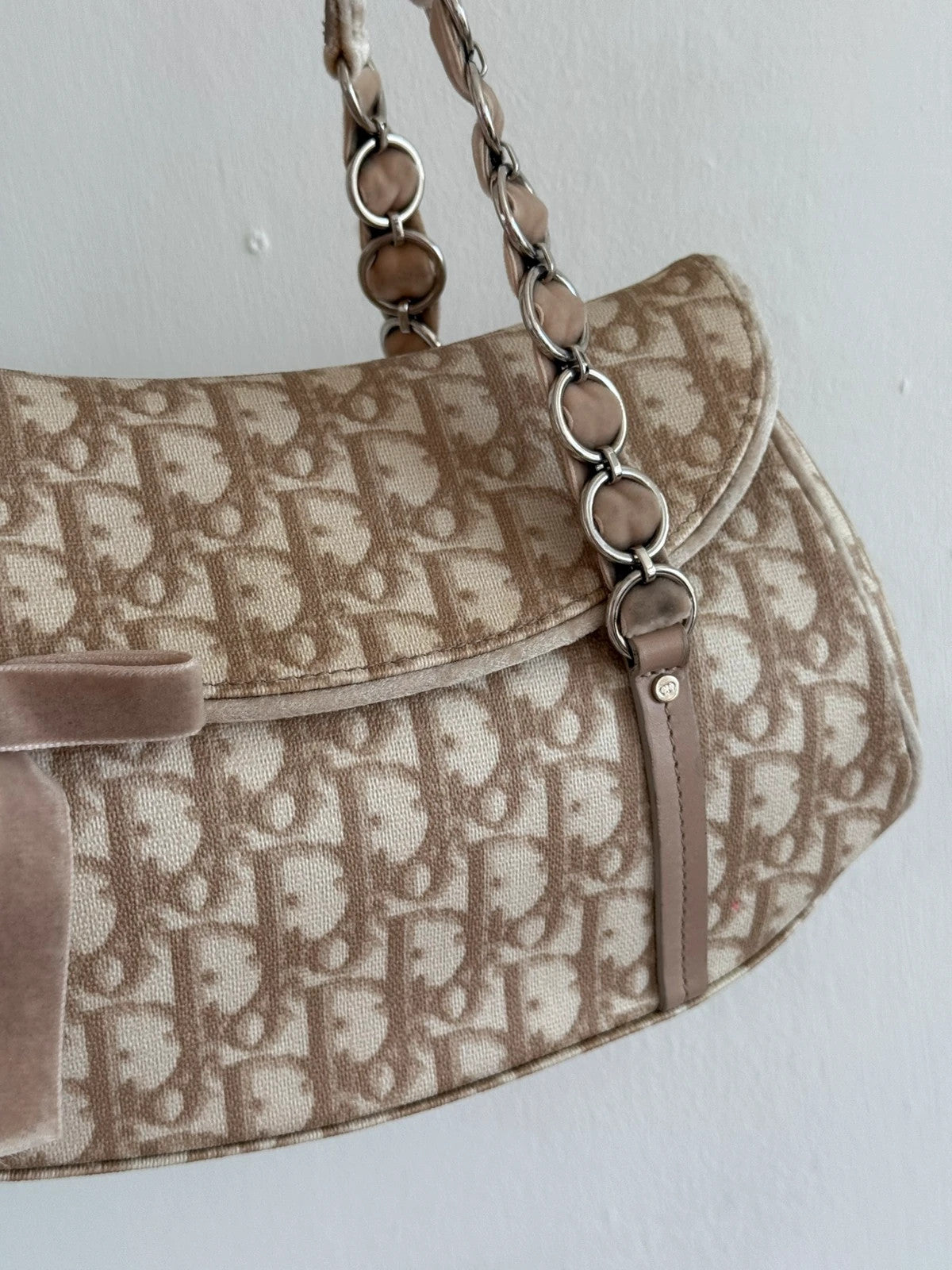 Dior Romantique Trotter Monogram handbag