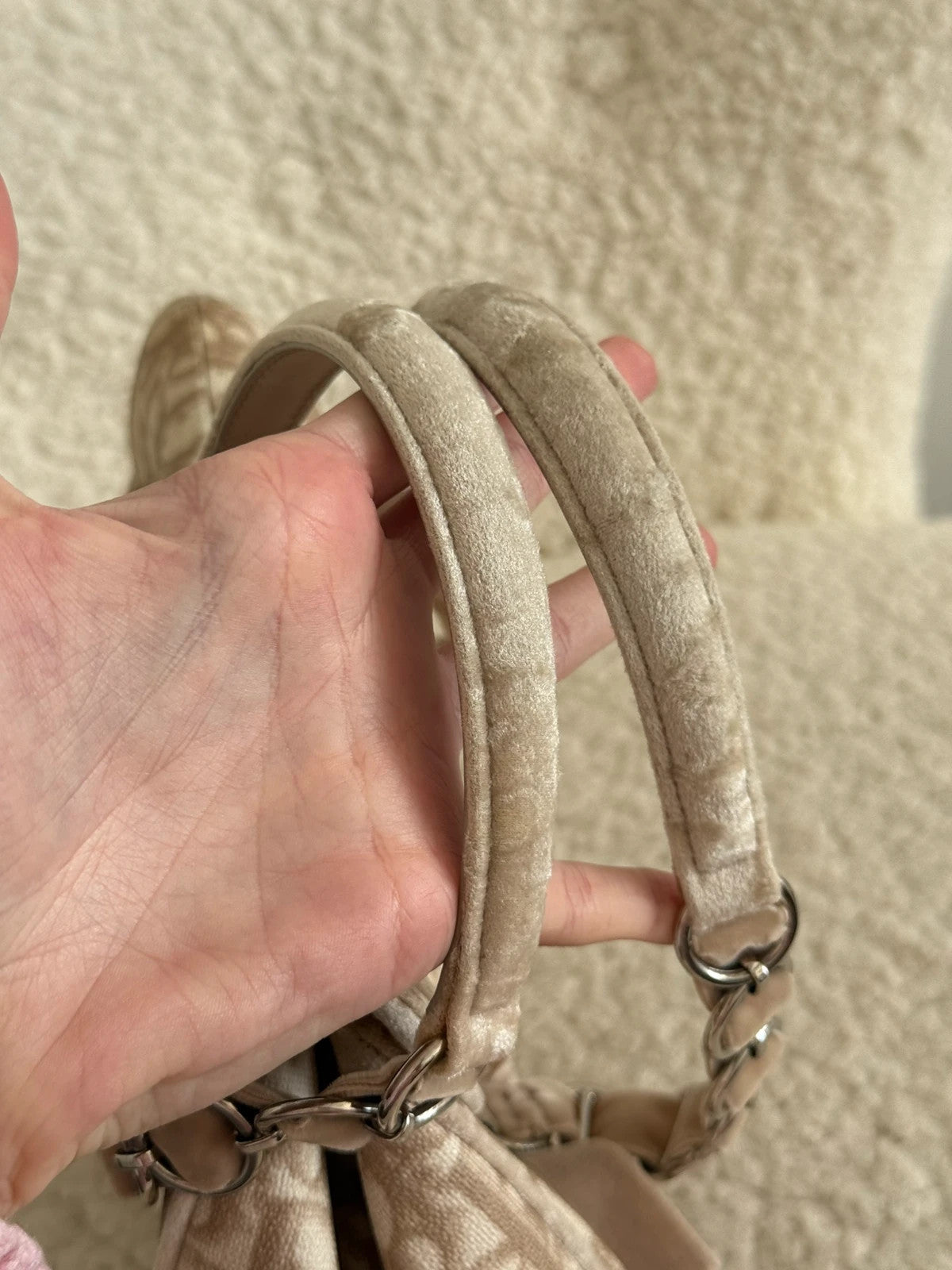 Dior Romantique Trotter Monogram handbag