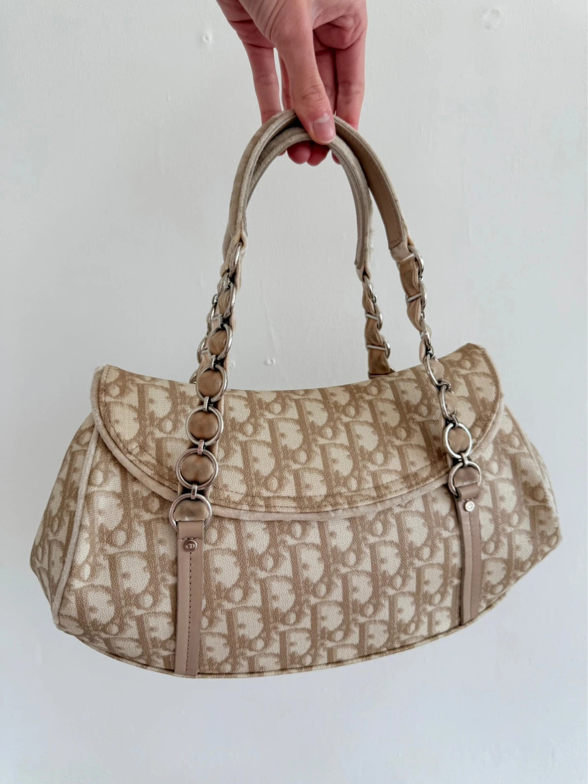 Dior Romantique Trotter Monogram handbag