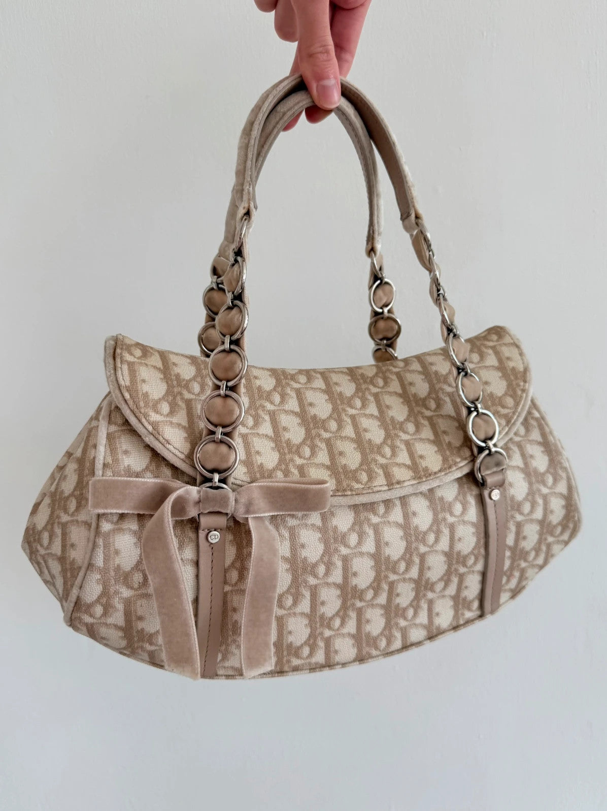 Dior Romantique Trotter Monogram handbag