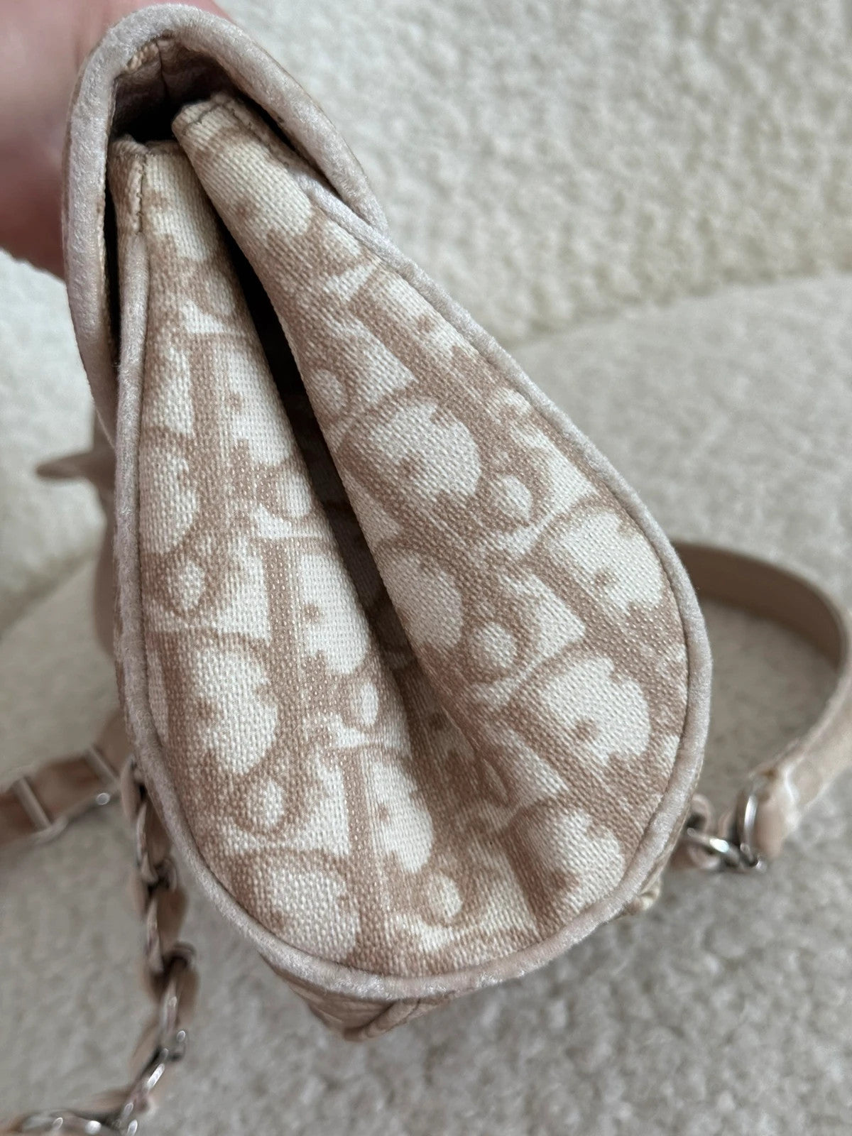 Dior Romantique Trotter Monogram handbag