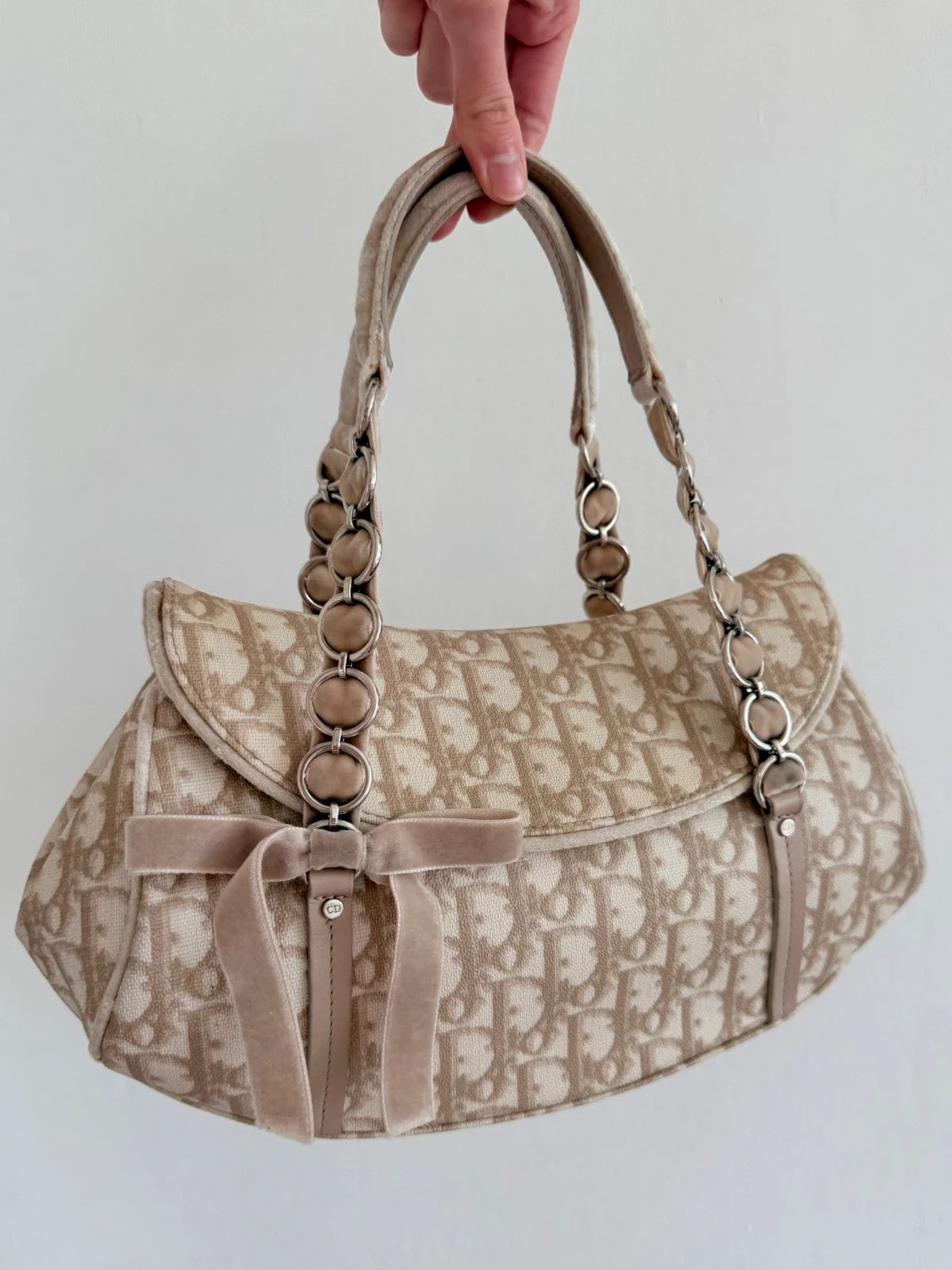 Dior Romantique Trotter Monogram handbag