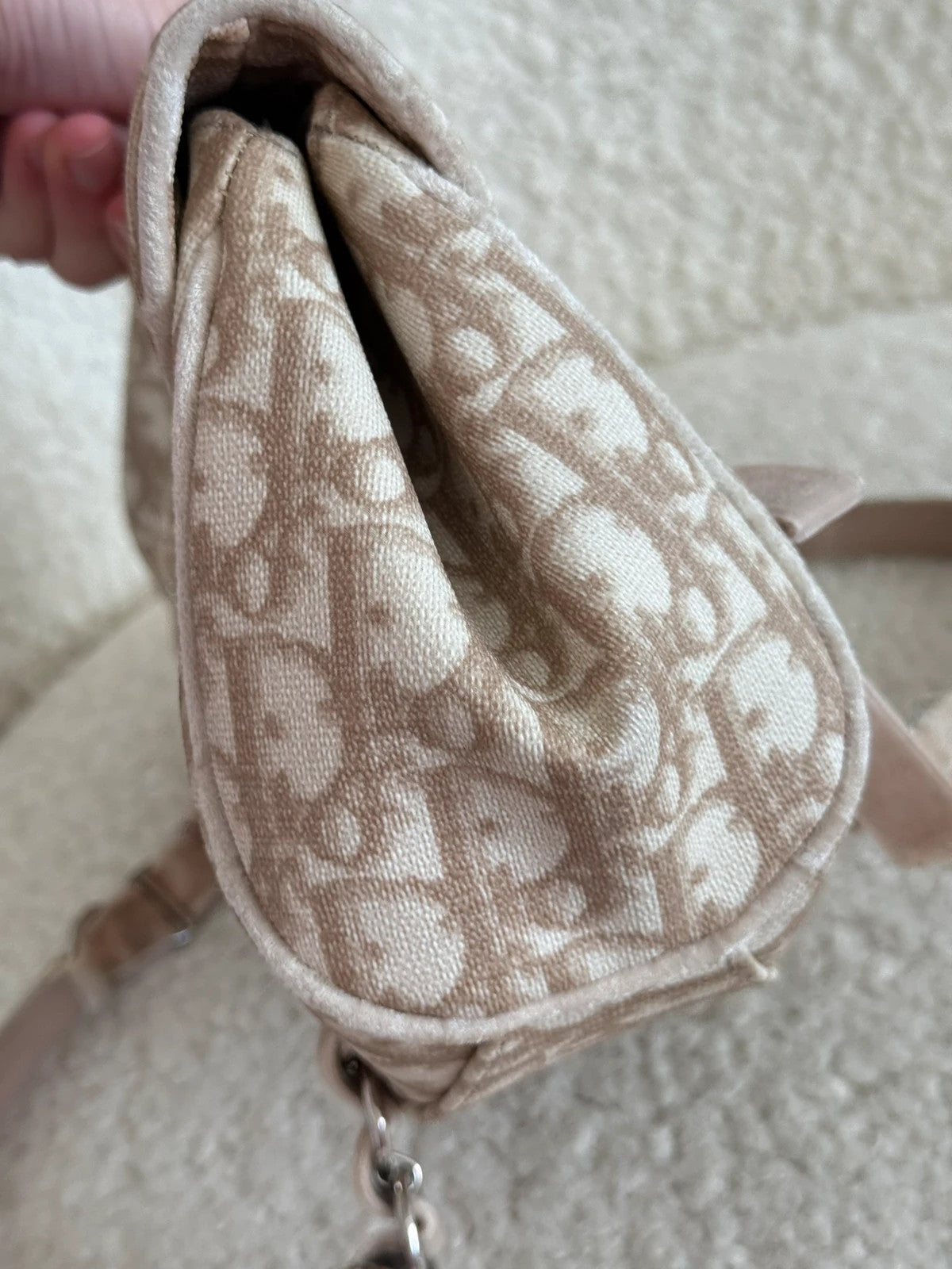 Dior Romantique Trotter Monogram handbag